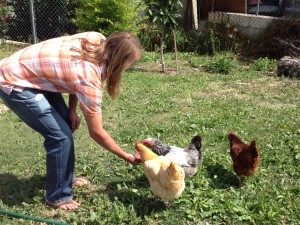 Feeding the chickens while taking a break in a writing session with my buddy, Dave Yaden, at his hom in Los Angeles. Feeding the chickens while taking a break in a writing session with my buddy, Dave Yaden, at his hom in Los Angeles.