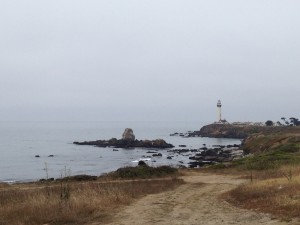 Even when it's socked in and cold, the California coast is a pretty special place. Pigeon Point Lighthouse.